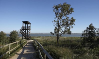 Obra nueva - Apartamento / piso -
San Miguel de Salinas - Pueblo