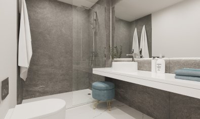 New Build - Penthouse -
Casares Costa