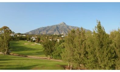 Obra nueva - Villa -
Marbella