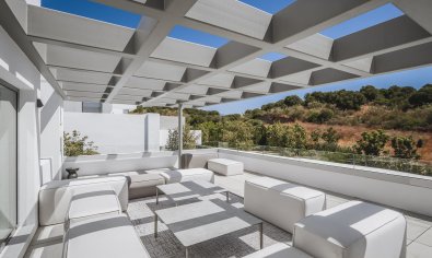 New Build - Villa -
El Paraíso