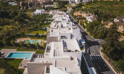 New Build - Villa -
El Paraíso