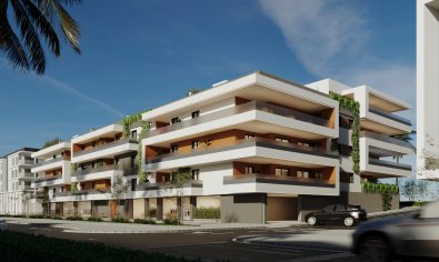 Obra nueva - Apartamento / piso -
San Pedro Alcántara