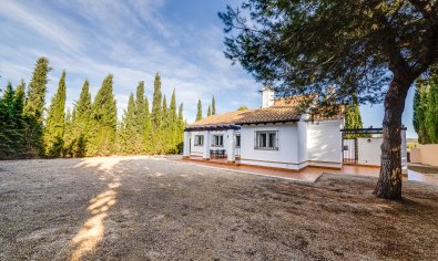 Nieuwbouw Woningen - Villa -
Fuente Álamo - Fuente Alamo