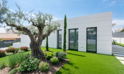 Nieuwbouw Woningen - Villa -
Molina De Segura - Molina de Segura