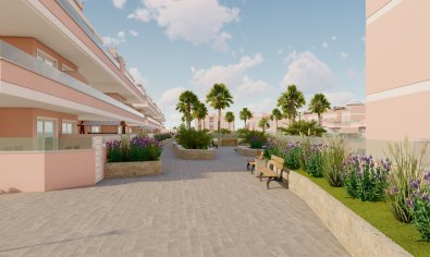 Obra nueva - Apartamento / piso -
Pilar de la Horadada
