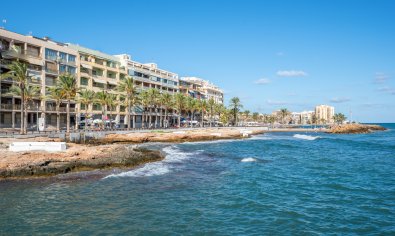 Bestaande bouw - Appartement -
Torrevieja