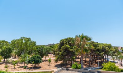 Nieuwbouw Woningen - Villa -
Playa Paraiso