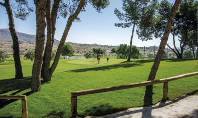 Nieuwbouw Woningen - Appartement -
Monforte del Cid