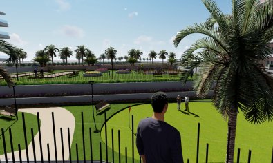 Obra nueva - Ático -
Guardamar del Segura - Guardamar Del Segura