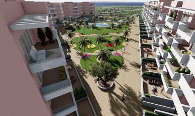 Obra nueva - Ático -
Guardamar del Segura - Guardamar Del Segura