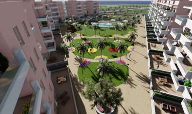 Obra nueva - Ático -
Guardamar del Segura - Guardamar Del Segura