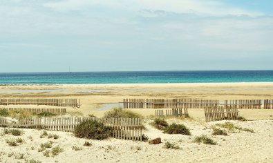Obra nueva - Apartamento / piso -
La Manga del Mar Menor - La Manga Del Mar Menor