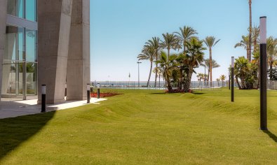 New Build - Apartment -
Benidorm
