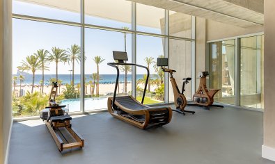 New Build - Apartment -
Benidorm