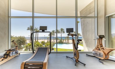 New Build - Apartment -
Benidorm