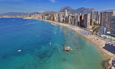 New Build - Apartment -
Benidorm
