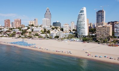 New Build - Apartment -
Benidorm