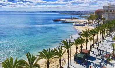 Obra nueva - Apartamento / piso -
Torrevieja