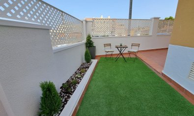 Obra nueva - terraced -
Orihuela