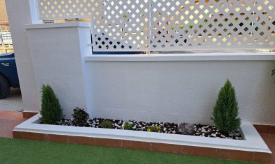 Obra nueva - terraced -
Orihuela