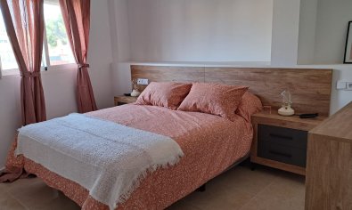 Obra nueva - terraced -
Orihuela