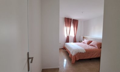 Obra nueva - terraced -
Orihuela
