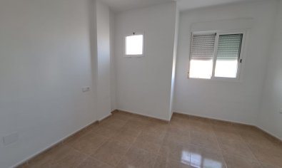 Obra nueva - terraced -
Orihuela
