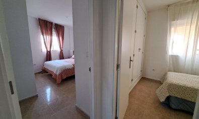 Obra nueva - terraced -
Orihuela