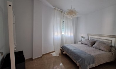 Obra nueva - terraced -
Orihuela
