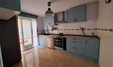 Obra nueva - terraced -
Orihuela