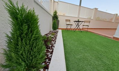 Obra nueva - terraced -
Orihuela