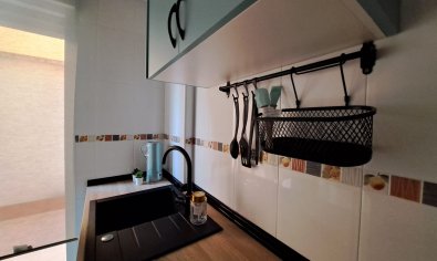 Obra nueva - terraced -
Orihuela