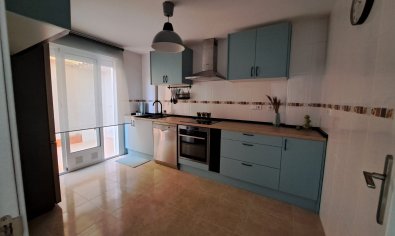 Obra nueva - terraced -
Orihuela