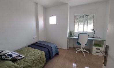 Obra nueva - terraced -
Orihuela