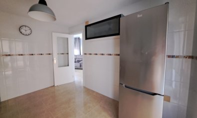 Obra nueva - terraced -
Orihuela