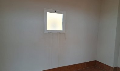 Obra nueva - terraced -
Orihuela