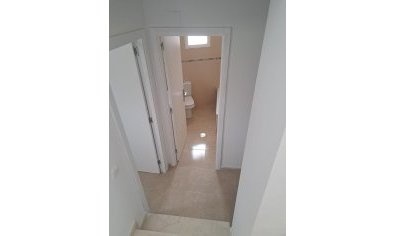 Obra nueva - terraced -
Orihuela