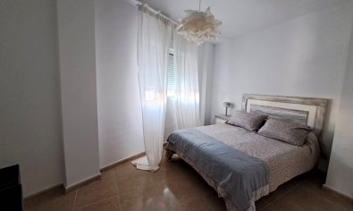 Obra nueva - terraced -
Orihuela