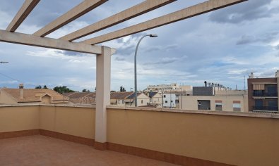 Obra nueva - terraced -
Orihuela