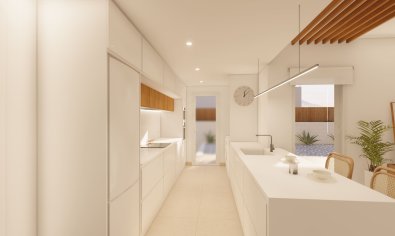 Obra nueva - Villa -
Pilar de la Horadada