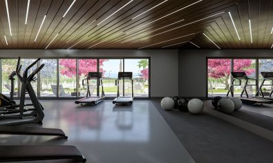 Obra nueva - Ático -
Orihuela Costa