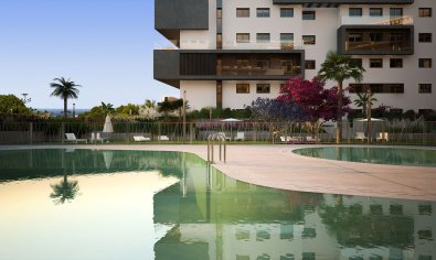 Obra nueva - Ático -
Orihuela Costa