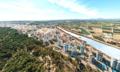 New Build - Penthouse -
Guardamar del Segura - Guardamar Del Segura