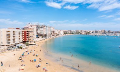 New Build - Apartment -
Torrevieja