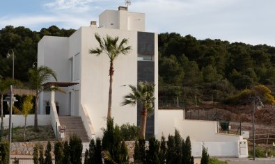 Nieuwbouw Woningen - Villa -
Cartagena
