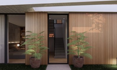 Obra nueva - Villa -
Torre de la Horadada