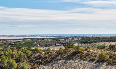 Obra nueva - Villa -
San Miguel de Salinas