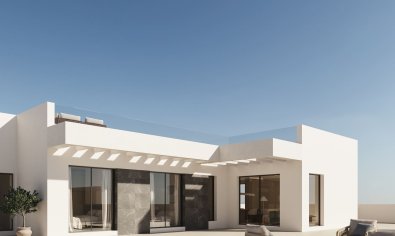 Obra nueva - Villa -
Polop
