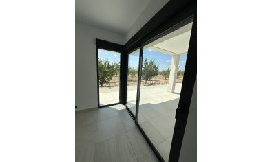 Obra nueva - Villa -
Lel
