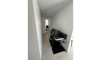 Obra nueva - Villa -
Lel
